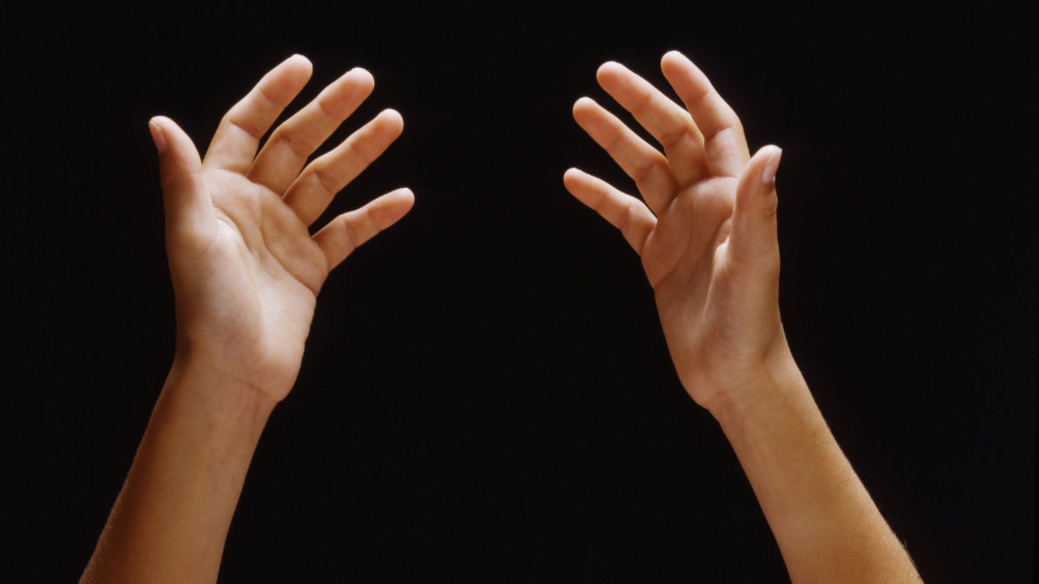 《机器触觉》第一章:人类触觉 - CONAROBOT